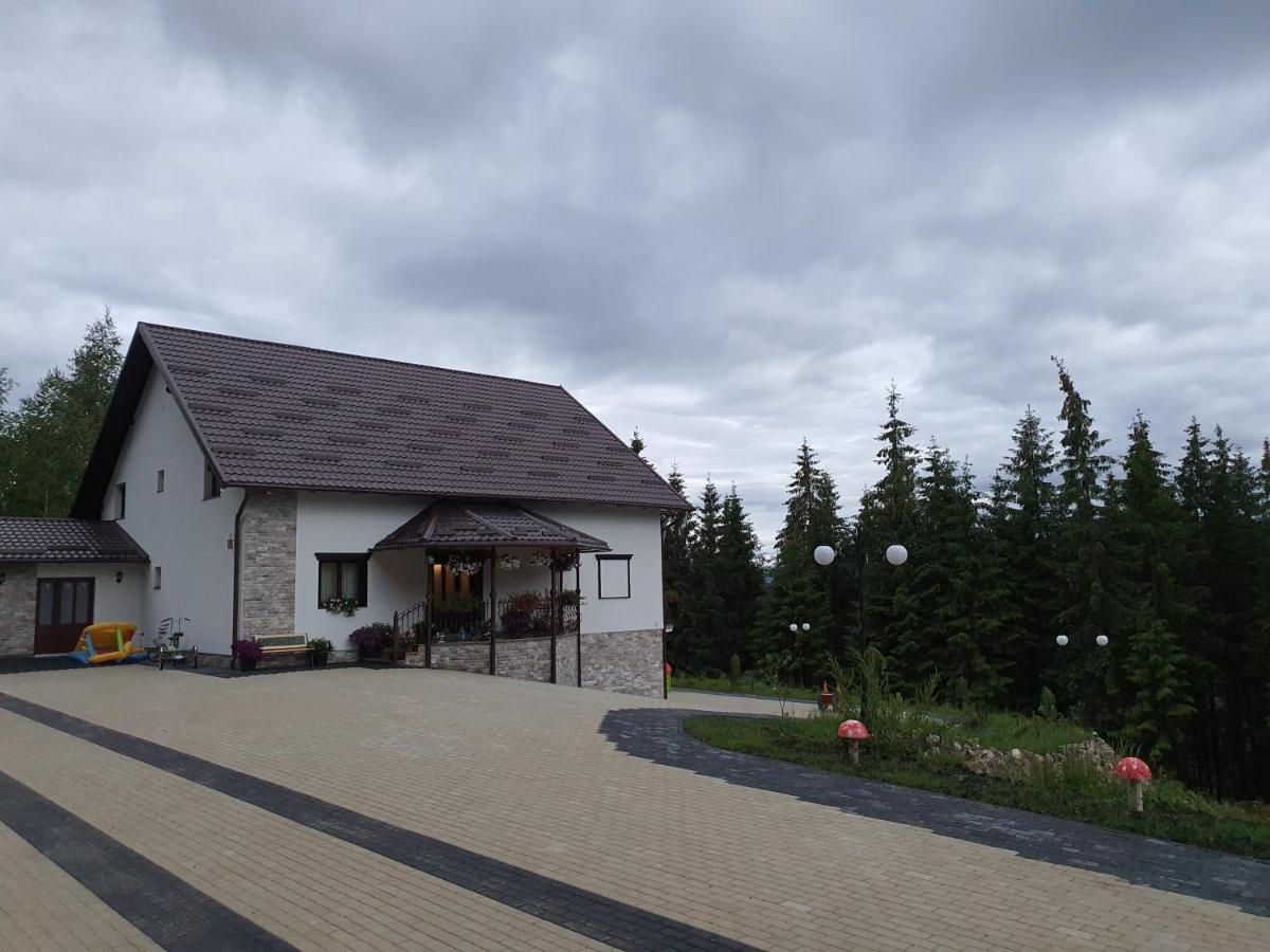 فندق Casa Sofia Bucovina Ciumirna المظهر الخارجي الصورة
