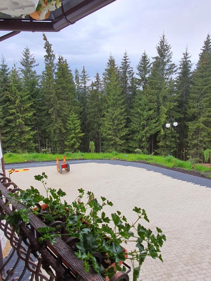 فندق Casa Sofia Bucovina Ciumirna المظهر الخارجي الصورة