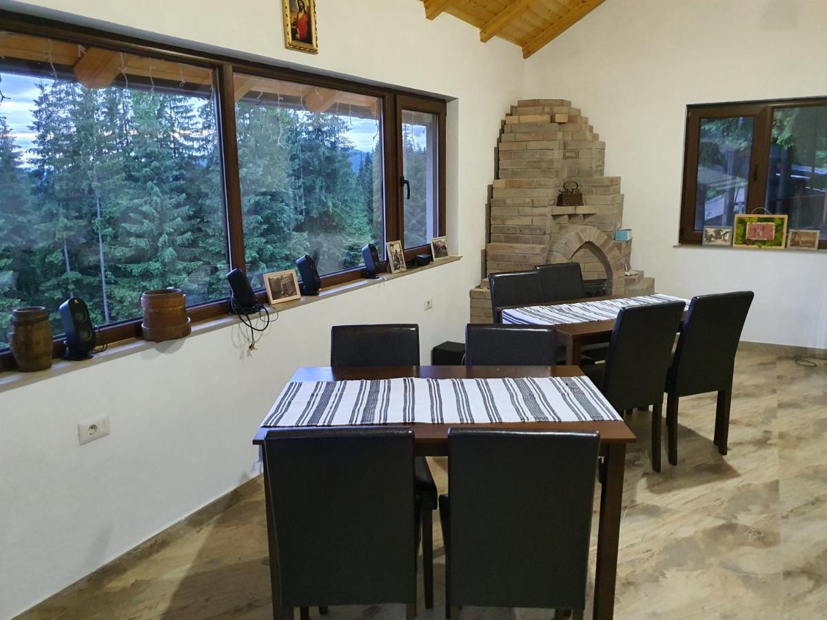 فندق Casa Sofia Bucovina Ciumirna المظهر الخارجي الصورة