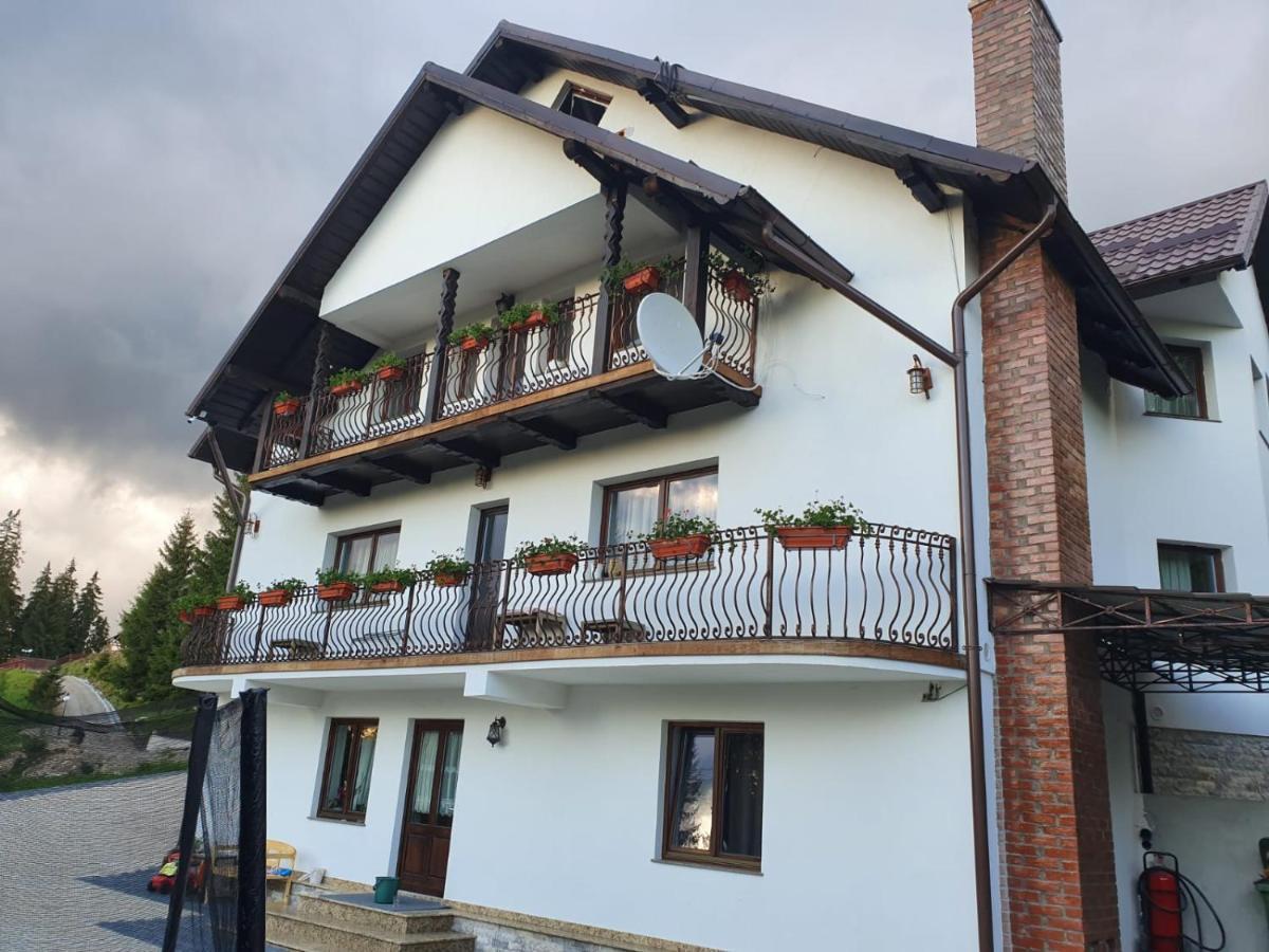 فندق Casa Sofia Bucovina Ciumirna المظهر الخارجي الصورة