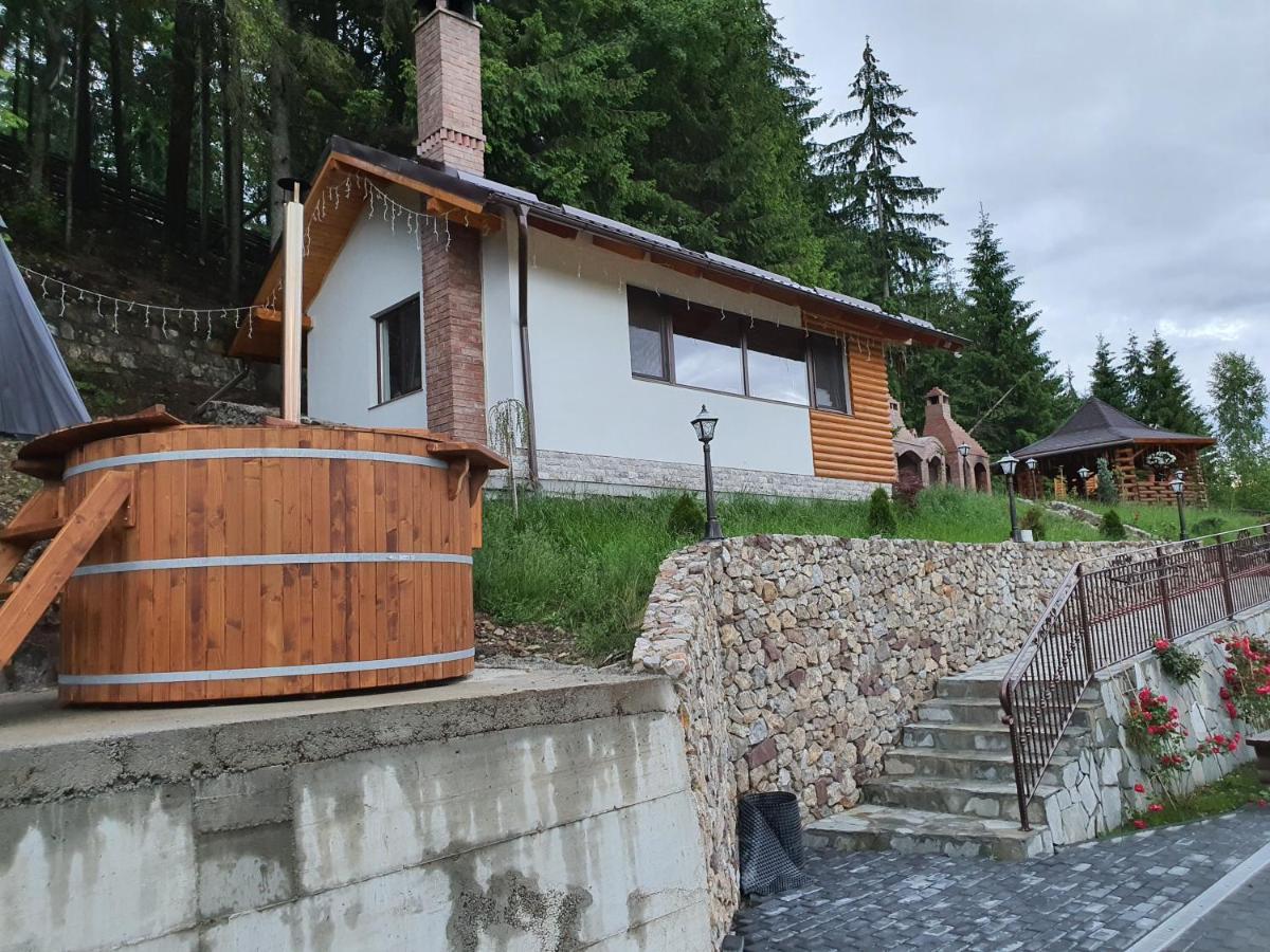 فندق Casa Sofia Bucovina Ciumirna المظهر الخارجي الصورة