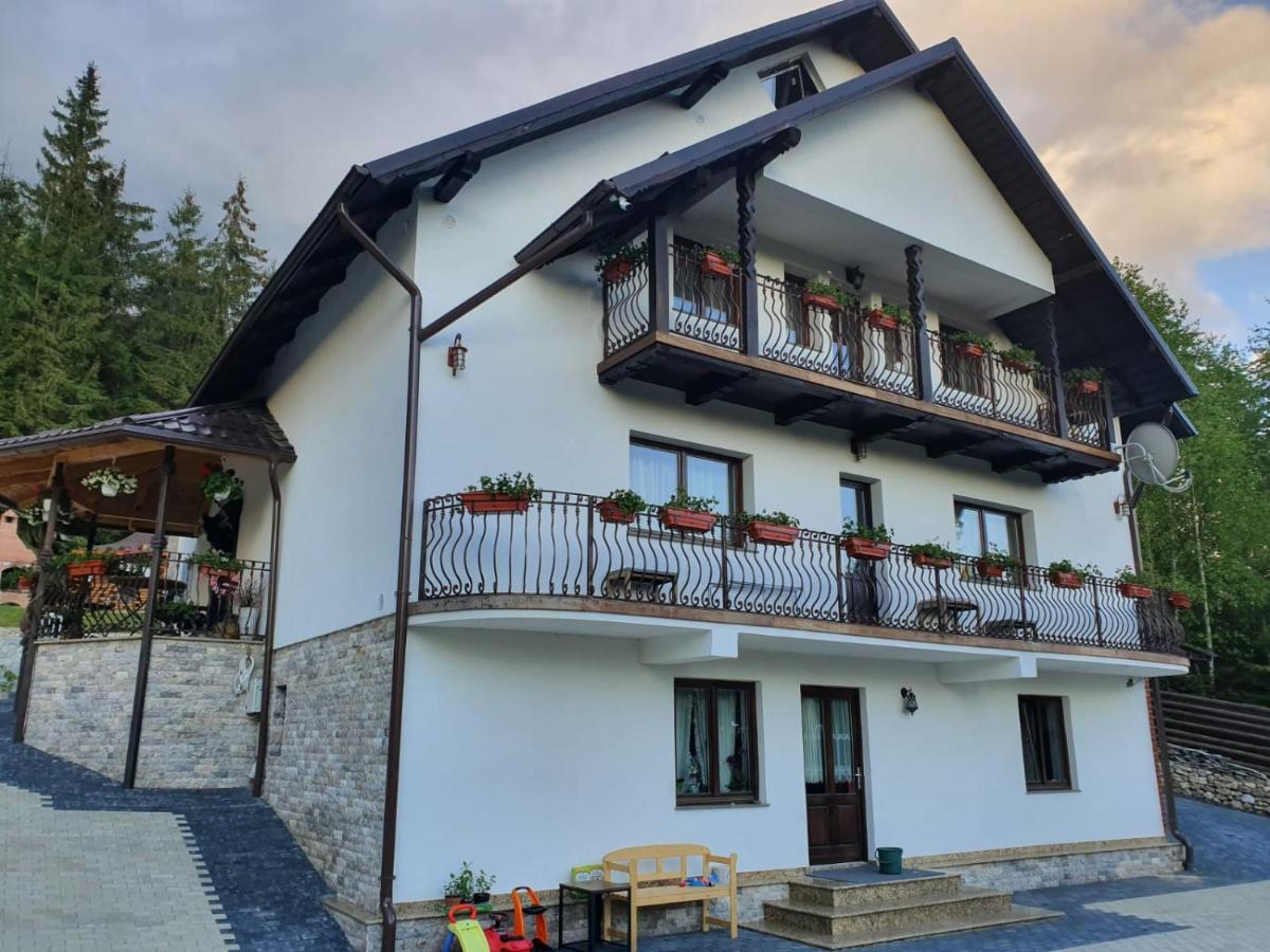 فندق Casa Sofia Bucovina Ciumirna المظهر الخارجي الصورة