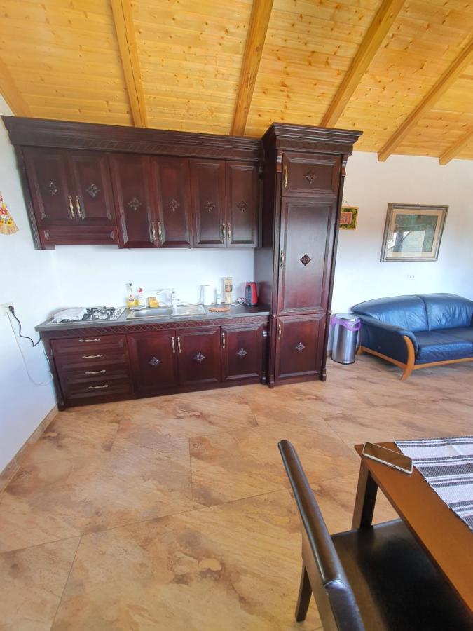 فندق Casa Sofia Bucovina Ciumirna المظهر الخارجي الصورة