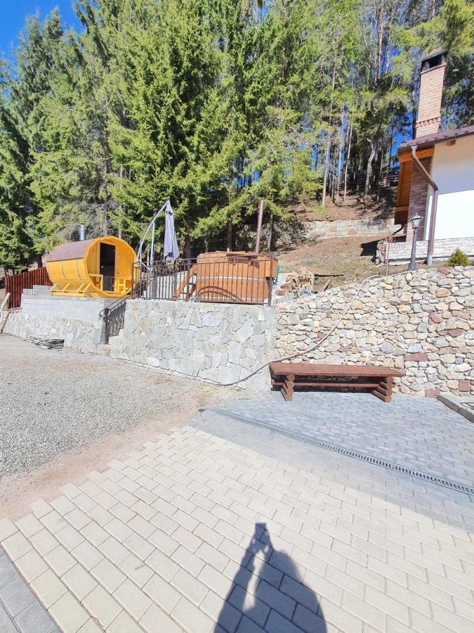 فندق Casa Sofia Bucovina Ciumirna المظهر الخارجي الصورة